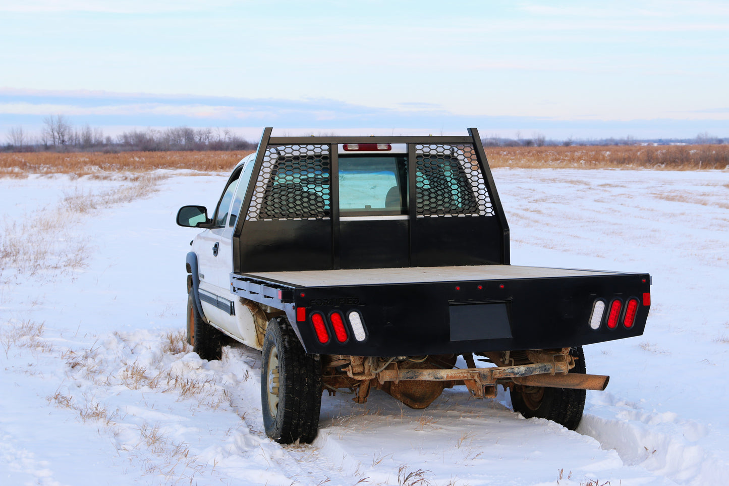 Workhorse Light